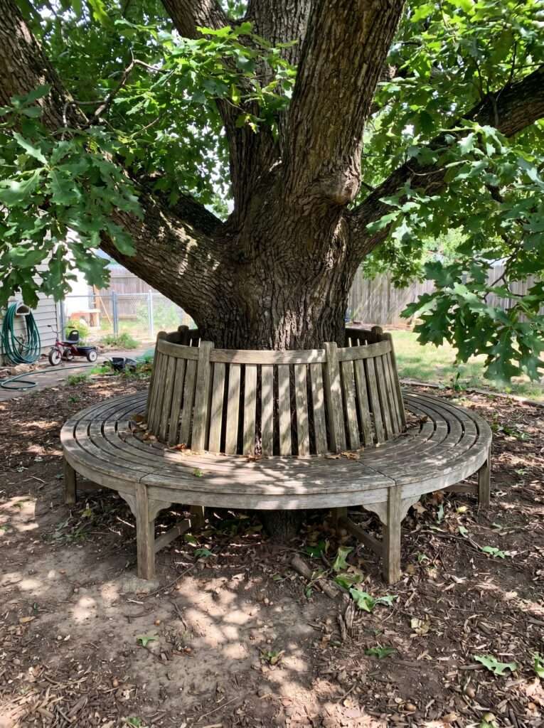 Weathered circular wooden bench installed around the base of a mature oak tree.