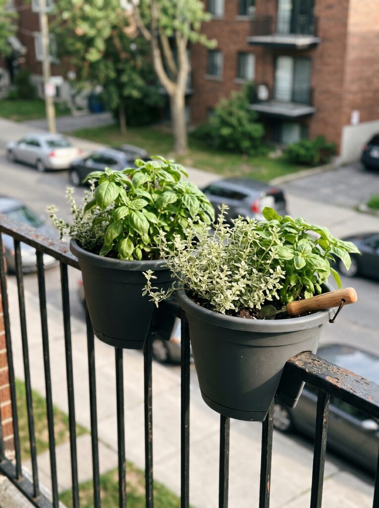 Over-the-railing saddle planters filled with fresh kitchen herbs on a metal balcony.