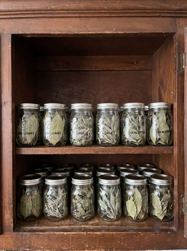 Clear glass mason jars filled with dried whole green herbs arranged on a dark wooden pantry shelf.