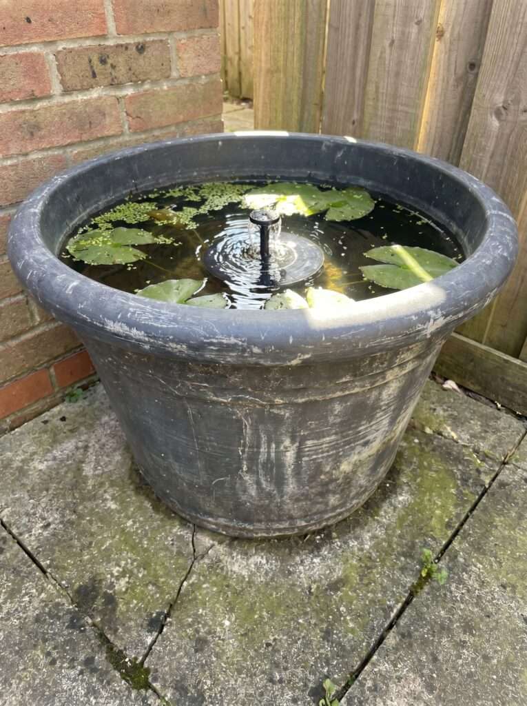 A small DIY patio solar pond in a dark gray resin planter with a bubbling fountain and floating lily pads on a sunny day.