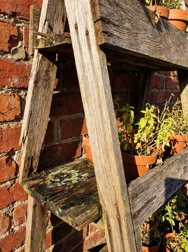 A struggling DIY wooden herb planter with moldy joints and yellowing plants showing poor light distribution.