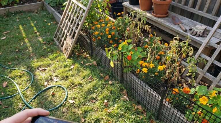 A sunny, slightly messy suburban garden bed with beautiful flowers protected by a subtle, black mesh fence running along the grass line.